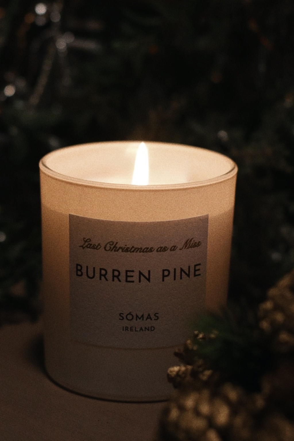 Burren Pine