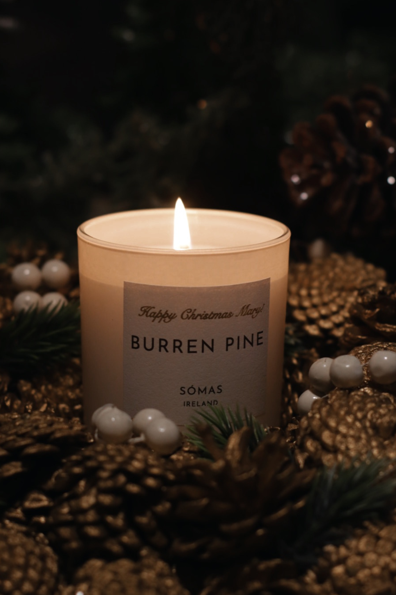 Burren Pine