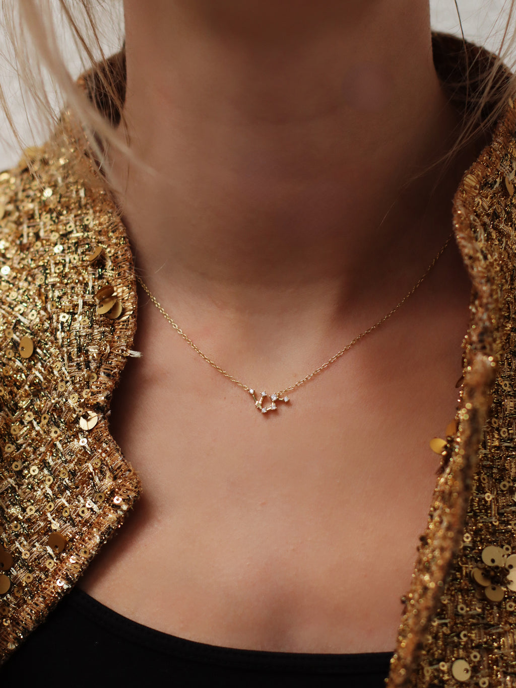 Zodiac Sign Constellation Necklace
