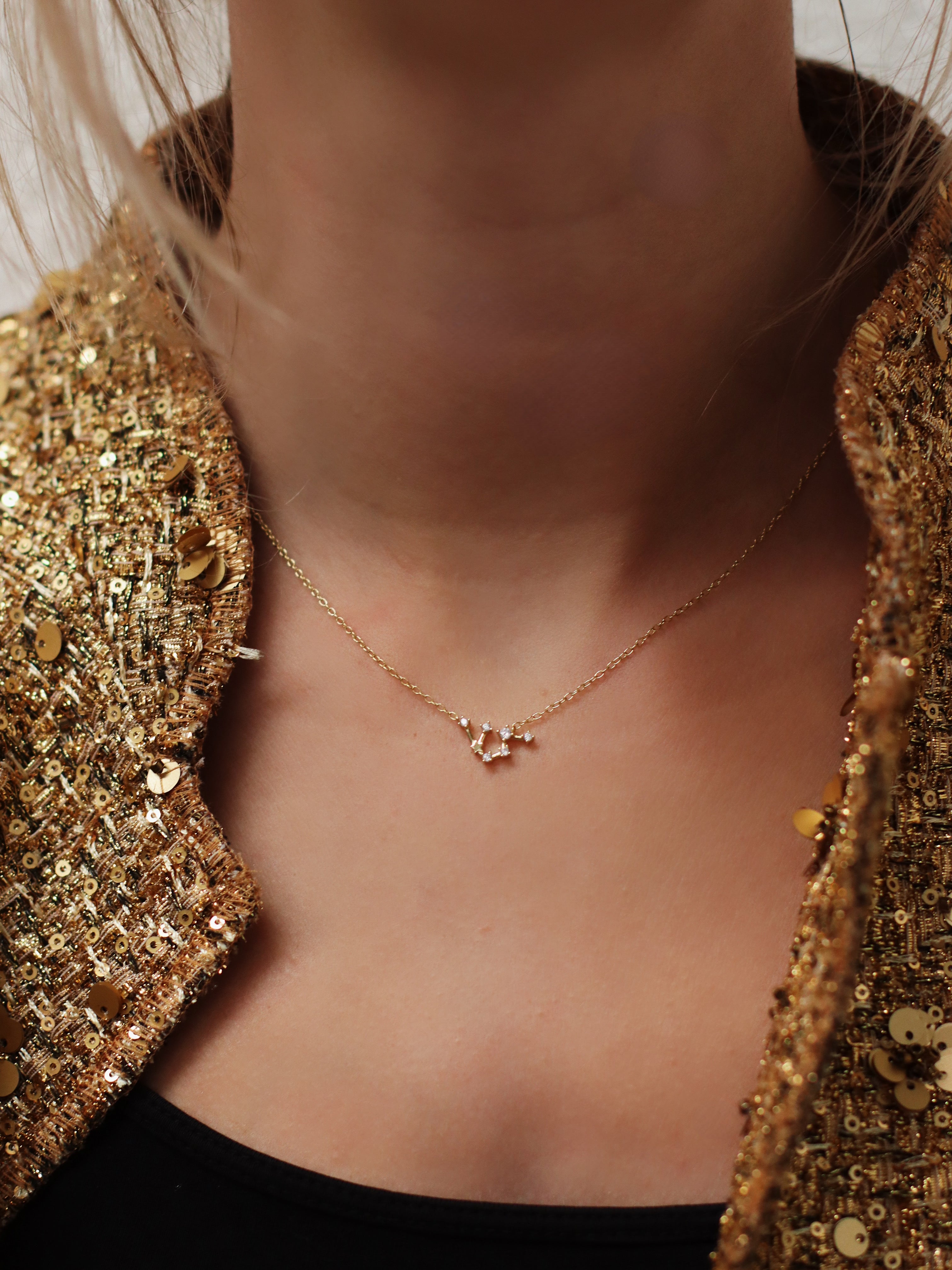 Zodiac Sign Constellation Necklace