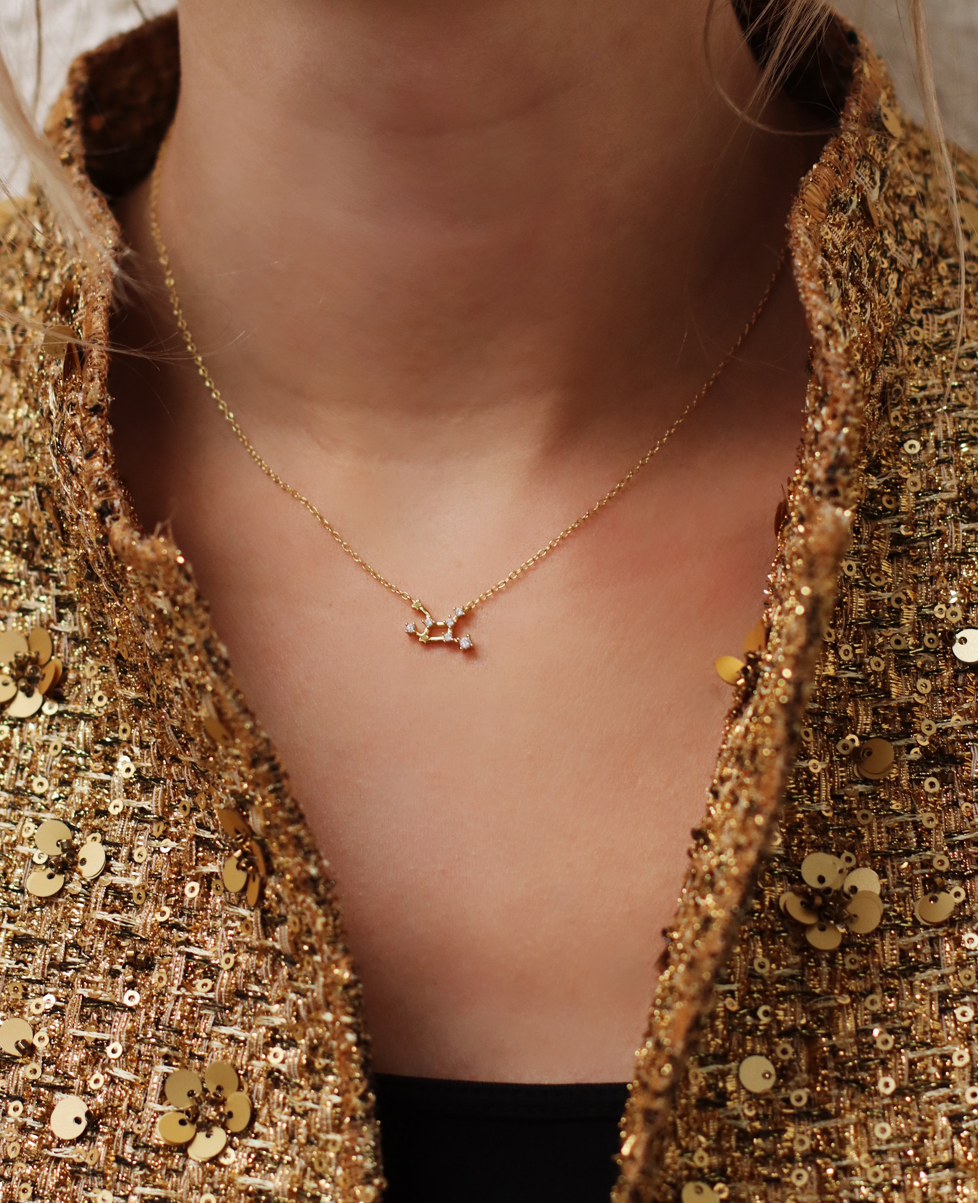 Zodiac Sign Constellation Necklace